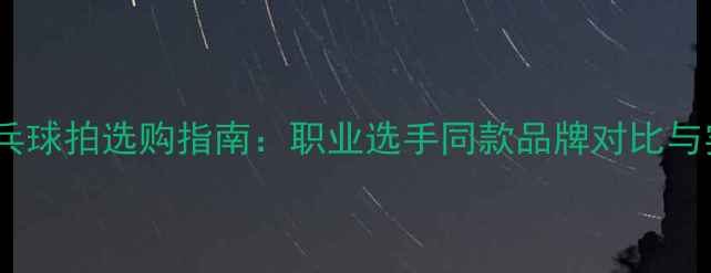 图片 比赛用乒乓球拍选购指南：职业选手同款品牌对比与实战性能1