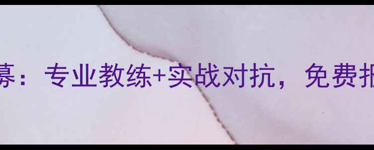 图片 民治羽毛球单打群最新招募：专业教练+实战对抗，免费报名开启你的技术提升之旅