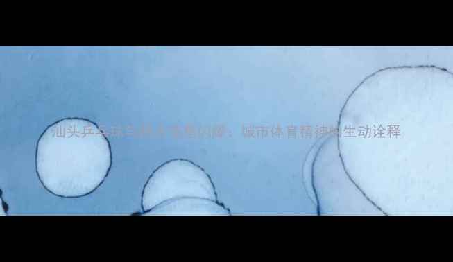 图片 汕头乒乓球与跳水双星闪耀：城市体育精神的生动诠释