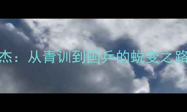 图片 江苏乒乓球新星张英杰：从青训到国乒的蜕变之路——技术与成长故事