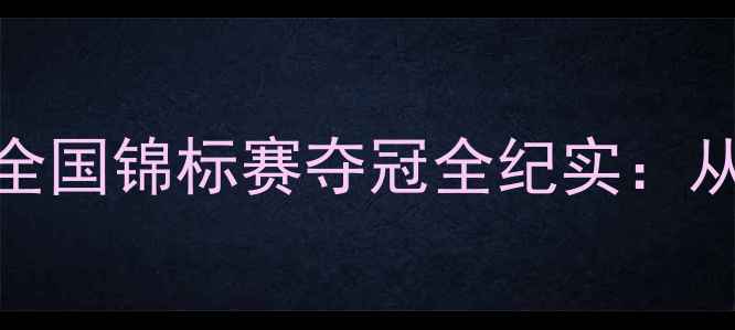 图片 江苏男子羽毛球团体全国锦标赛夺冠全纪实：从青训体系到战术革新