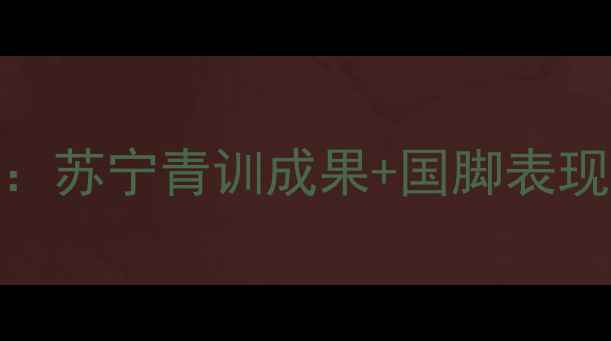 图片 江苏足球现役球员全：苏宁青训成果+国脚表现评估+未来争冠关键1
