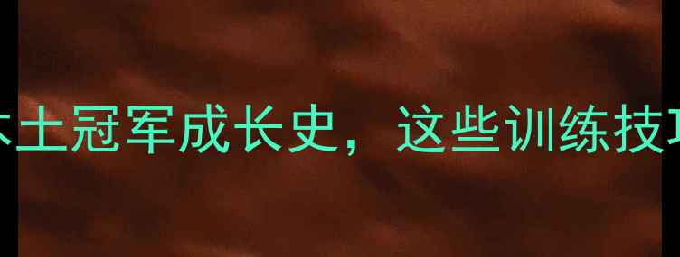 图片 江西羽毛球健将推荐｜本土冠军成长史，这些训练技巧让你秒变球场王者！🏸