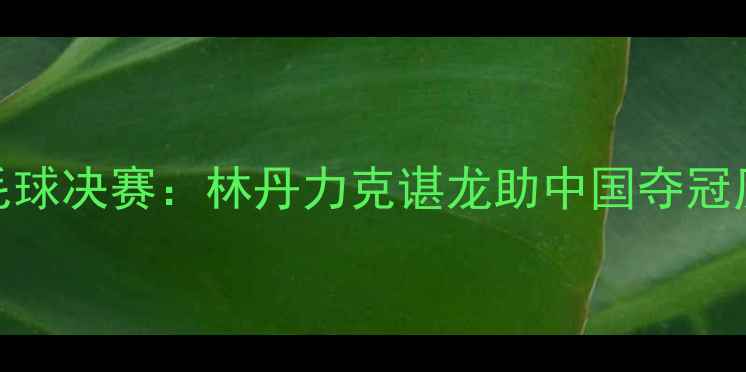 图片 汤姆斯杯羽毛球决赛：林丹力克谌龙助中国夺冠历史性战役全