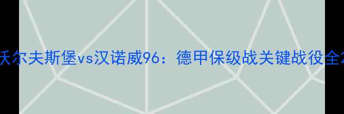 图片 沃尔夫斯堡vs汉诺威96：德甲保级战关键战役全2