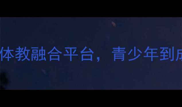 图片 沈阳丰联羽毛球俱乐部：专业体教融合平台，青少年到成人全年龄段羽毛球培训指南2