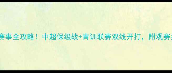 图片 沈阳今日足球赛事全攻略！中超保级战+青训联赛双线开打，附观赛指南+实时战报