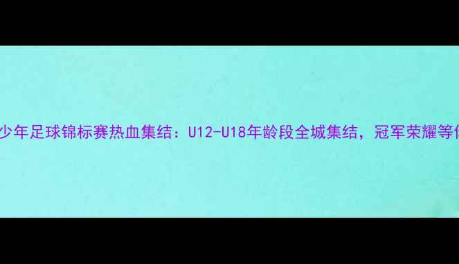 图片 沈阳市青少年足球锦标赛热血集结：U12-U18年龄段全城集结，冠军荣耀等你来战！1