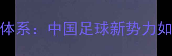 图片 沈阳零球员青训体系：中国足球新势力如何从东北崛起？