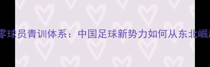 图片 沈阳零球员青训体系：中国足球新势力如何从东北崛起？2