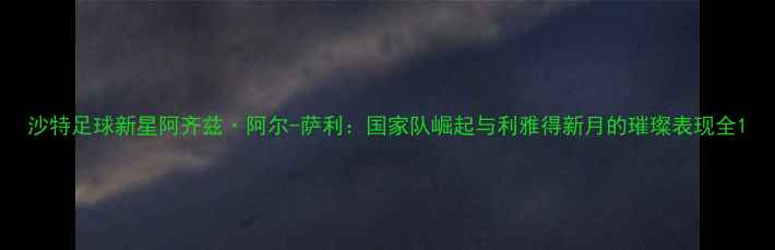 图片 沙特足球新星阿齐兹·阿尔-萨利：国家队崛起与利雅得新月的璀璨表现全1