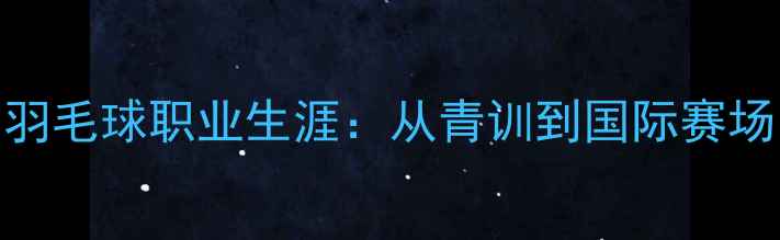 图片 河北魏新朋羽毛球职业生涯：从青训到国际赛场的逆袭之路