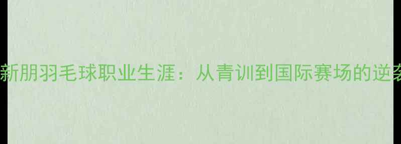 图片 河北魏新朋羽毛球职业生涯：从青训到国际赛场的逆袭之路1