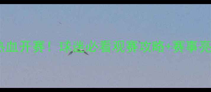 图片 河南建业赛季热血开赛！球迷必看观赛攻略+赛事亮点全中超联赛1