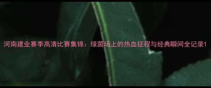 图片 河南建业赛季高清比赛集锦：绿茵场上的热血征程与经典瞬间全记录1