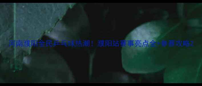 图片 河南濮阳全民乒乓球热潮！濮阳站赛事亮点全+参赛攻略2