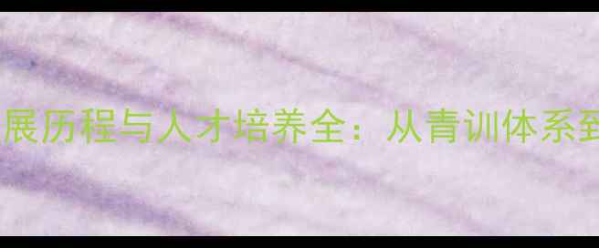 图片 河南省羽毛球专业队发展历程与人才培养全：从青训体系到世界赛事的崛起之路1
