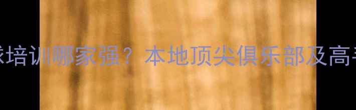 图片 河源羽毛球培训哪家强？本地顶尖俱乐部及高手训练法则