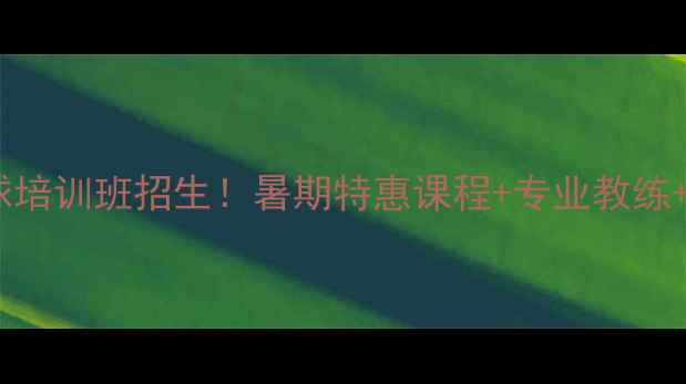 图片 泉州暑假羽毛球培训班招生！暑期特惠课程+专业教练+学员成果展示1