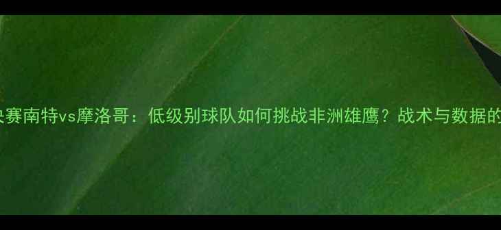 图片 法国杯14决赛南特vs摩洛哥：低级别球队如何挑战非洲雄鹰？战术与数据的终极对决1