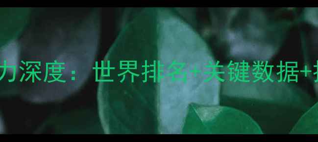 图片 波兰球员个人实力深度：世界排名+关键数据+技术特点全盘点1