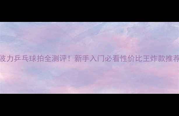 图片 波力乒乓球拍全测评！新手入门必看性价比王炸款推荐