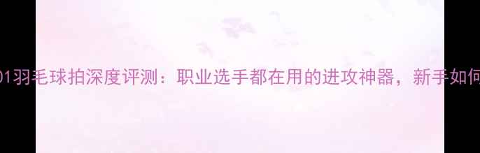 图片 波尔501羽毛球拍深度评测：职业选手都在用的进攻神器，新手如何选？1