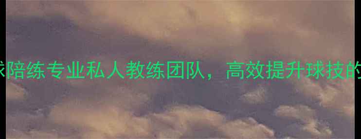 图片 海口乒乓球陪练专业私人教练团队，高效提升球技的三大秘籍1