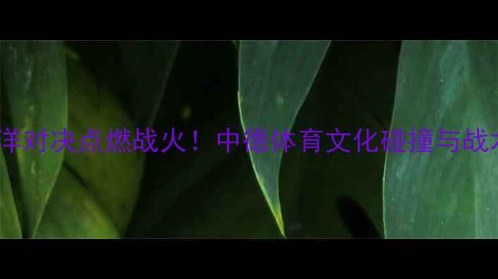 图片 海登vs汉诺威：跨洋对决点燃战火！中德体育文化碰撞与战术（附战报数据）1