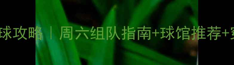 图片 深圳南山周末羽毛球约球攻略｜周六组队指南+球馆推荐+穿搭建议｜附报名方式2