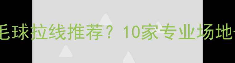 图片 深圳哪里有羽毛球拉线推荐？10家专业场地+DIY攻略全✨2