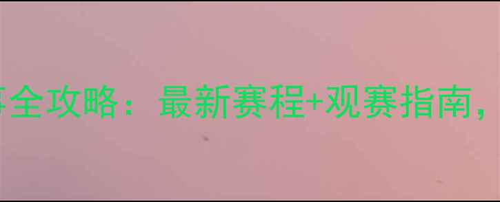 图片 深圳搏击赛事全攻略：最新赛程+观赛指南，不容错过！1