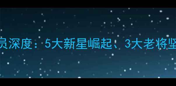 图片 深圳猎豹队CBA球员深度：5大新星崛起、3大老将坚守、1个争议话题