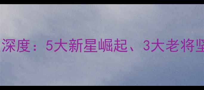 图片 深圳猎豹队CBA球员深度：5大新星崛起、3大老将坚守、1个争议话题1