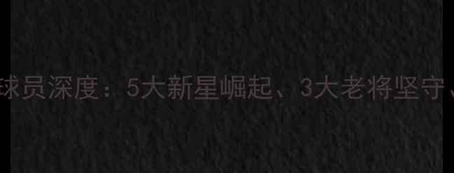 图片 深圳猎豹队CBA球员深度：5大新星崛起、3大老将坚守、1个争议话题2