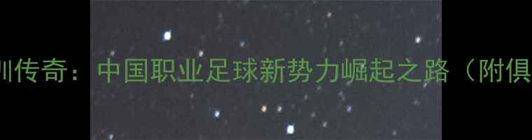 图片 深圳雷曼青训传奇：中国职业足球新势力崛起之路（附俱乐部深度）2