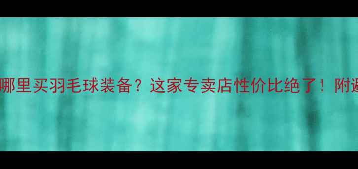 图片 深圳龙华哪里买羽毛球装备？这家专卖店性价比绝了！附避坑指南1