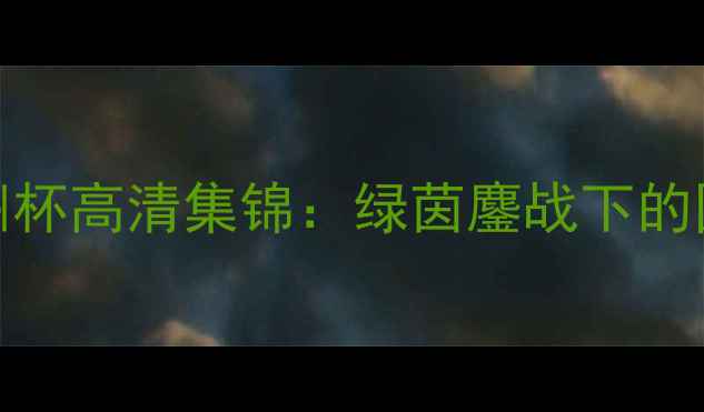 图片 深度伊朗VS越南亚洲杯高清集锦：绿茵鏖战下的国家荣耀与足球哲学