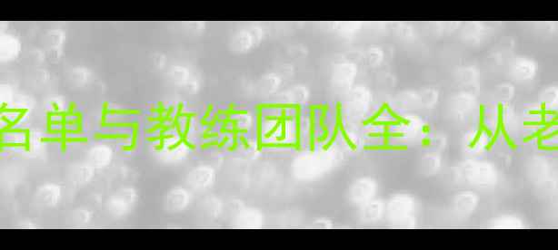 图片 深度湖人队完整阵容名单与教练团队全：从老将传奇到新生代崛起