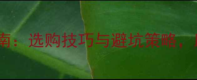 图片 深度羽毛球穿线假线识别指南：选购技巧与避坑策略，助你选对球线提升运动表现1