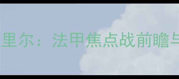 图片 深度里昂vs里尔：法甲焦点战前瞻与胜负关键1
