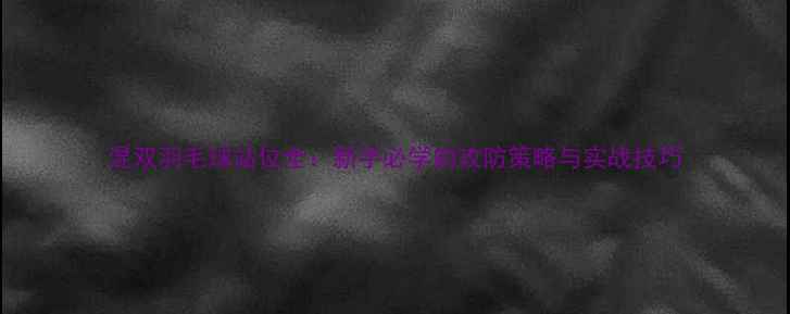 图片 混双羽毛球站位全：新手必学的攻防策略与实战技巧