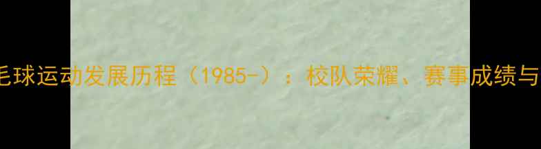 图片 清华大学羽毛球运动发展历程（1985-）：校队荣耀、赛事成绩与人才培养全2