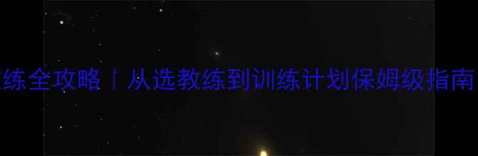 图片 游泳比赛教练全攻略｜从选教练到训练计划保姆级指南！新手必看