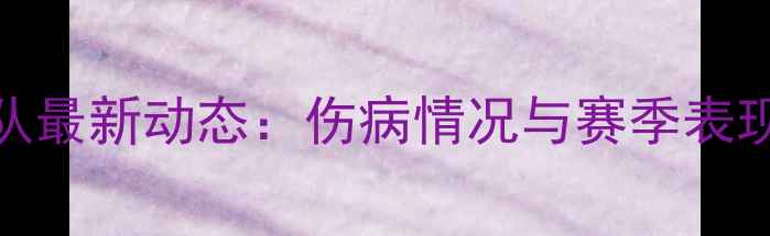 图片 湖人队最新动态：伤病情况与赛季表现深度