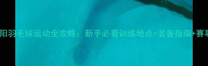 图片 湖南益阳羽毛球运动全攻略：新手必看训练地点+装备指南+赛事信息1