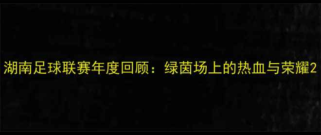 图片 湖南足球联赛年度回顾：绿茵场上的热血与荣耀2
