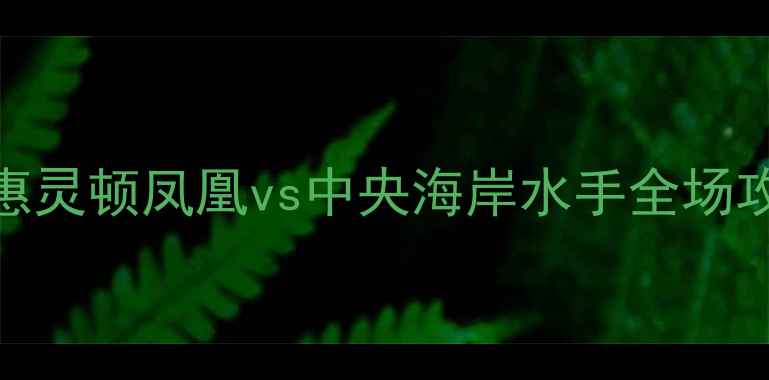 图片 澳超焦点战：惠灵顿凤凰vs中央海岸水手全场攻防及胜负预测