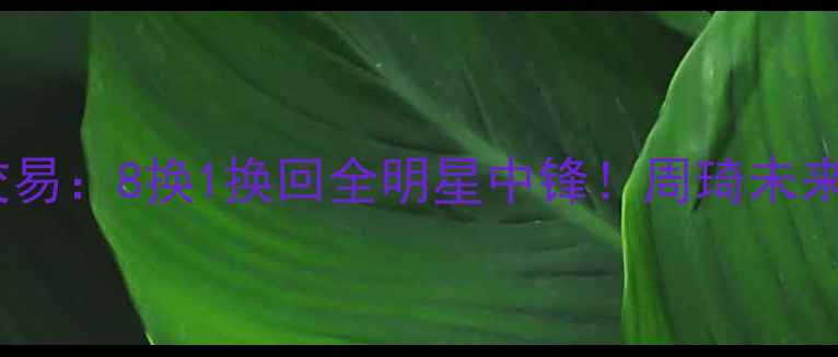 图片 火箭队重磅交易：8换1换回全明星中锋！周琦未来角色受关注2