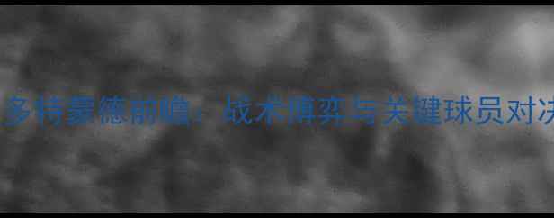 图片 热刺vs多特蒙德前瞻：战术博弈与关键球员对决深度2